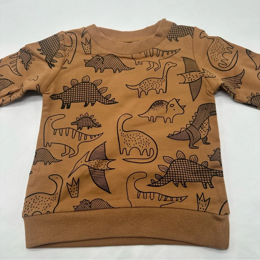 Baby Dinosaur‎ Matching Set,Fall baby outfit,pumpkin patch outfit,fall ba…